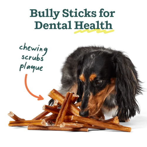 Woof The BullySafe Chew Stick