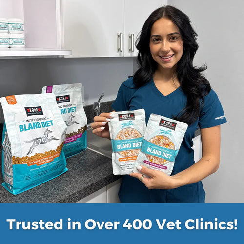 Koha Limited Ingredient Wet Bland Diet Lamb & White Rice Recipe for Dogs