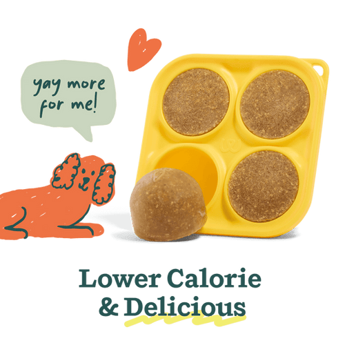 Woof Balanced Belly Pupsicle Mix