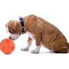 Omega Paw Tricky Treat Ball