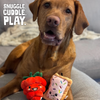 Snugarooz Poptart & Raspberry Dog Toy