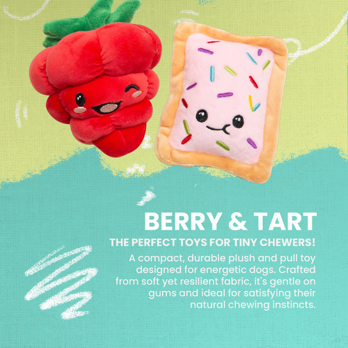 Snugarooz Poptart & Raspberry Dog Toy