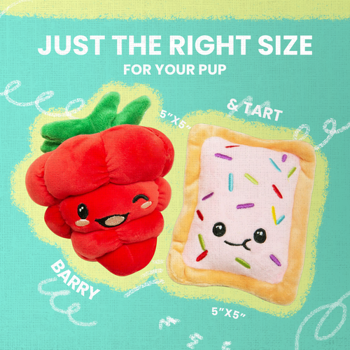 Snugarooz Poptart & Raspberry Dog Toy