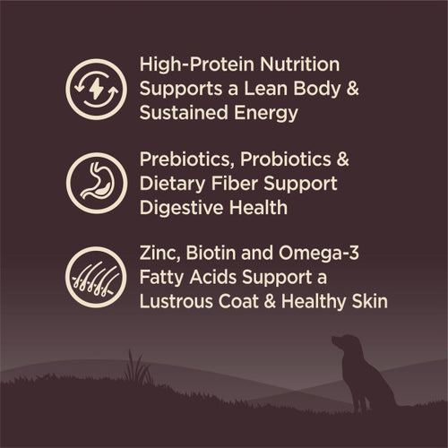 Wellness CORE Grain Free Natural Wild Game Duck, Turkey, Wild Boar and Rabbit Recipe Dry Dog Food