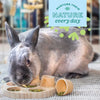 Oxbow Enriched Life – Tumble ‘n Toss for Small Animal