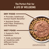 Wellness CORE Natural Grain Free Original Turkey, Chicken, Whitefish & Herring Recipe Dry Cat Food