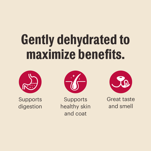 The Honest Kitchen Dehydrated Whole Grain Beef Dog Food