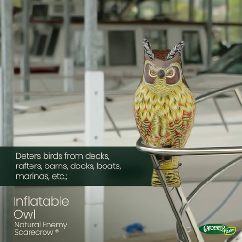 Dalen  Inflatable Owl - 24 Natural Enemy Scarecrow to Deter Birds