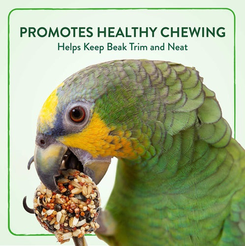 Wild Harvest Bake Shop Seed Pops for All Birds