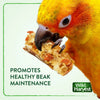 WILD HARVEST Tropical Granola Crunch Bars Bird Treats