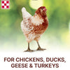 Purina® Scratch Grains