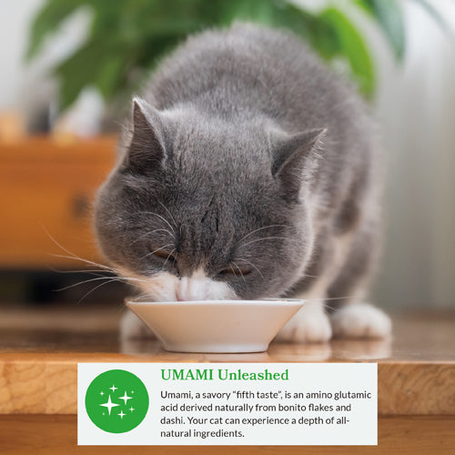 Inaba Dashi Delights Chicken with Tuna Recipe Cat Treats