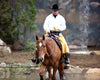 Breyer Checkers Retired