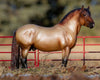Breyer Theo Retired