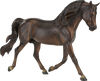 Breyer MorganQuest Native Sun Retired