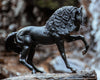 Breyer Sjoerd