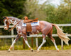 Breyer Full Moon Rising