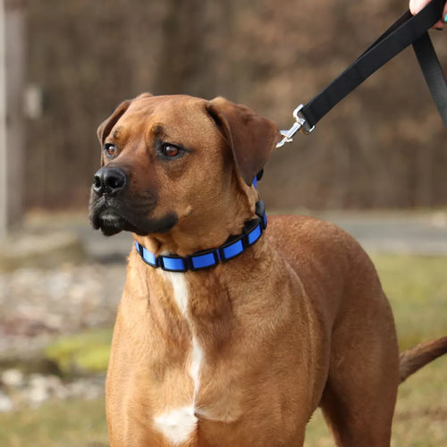 Coastal Pet Natural Control Training Collar - Additional Links
