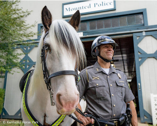 Breyer Hytyme Legend | KHP Mounted Police Horse