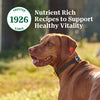 Nutro Hearty Stew Grain Free Meaty Lamb, Green Bean & Carrot Stew Adult Canned Dog Food