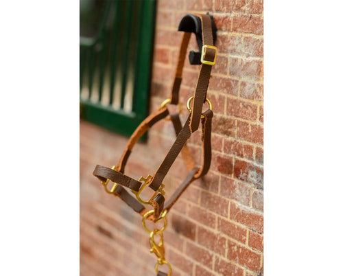 Breyer Halter with Lead