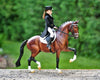 Breyer Stoneleigh II Dressage Saddle