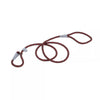 Coastal K9 Explorer Reflective Braided Rope Slip Dog Leash