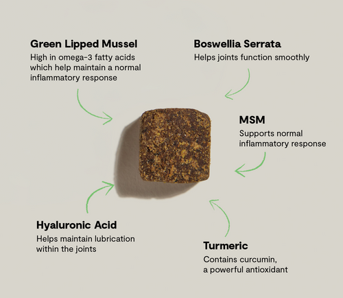 Open Farm Hip & Joint Supplement Chews for Dogs