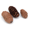 Ware Pet Products Pinecone Chews 3CT