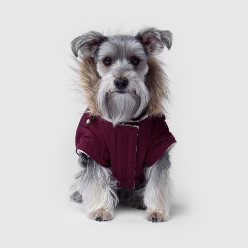 Canada Pooch Alaskan Army Parka Dog Coat