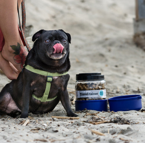 Vittles Vault Travel Tainer