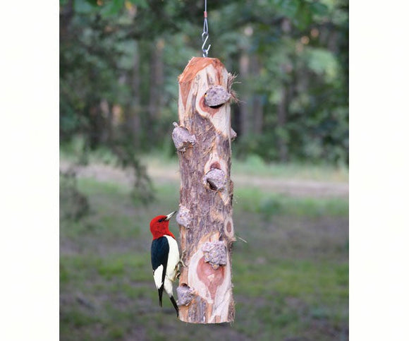 Songbird Essentials 6 Plug Suet Log Without Perches
