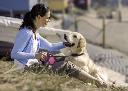 Flexi New Comfort XS Tape 10 ft/3 m